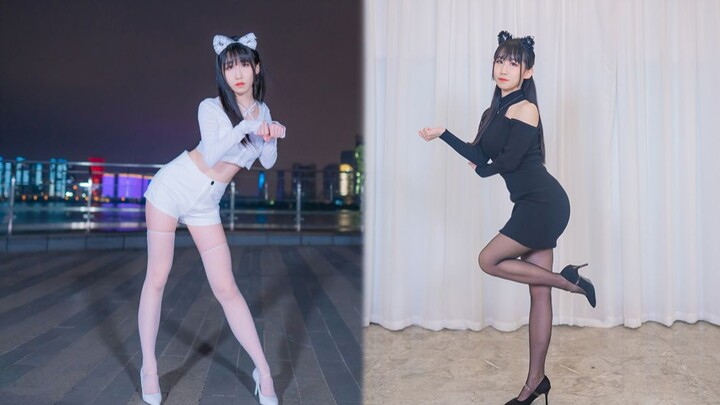 What is it like to have both a "pure white cat" and a "mature wild cat" at the same time [Anniversar