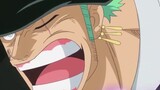 [Hack vs. Biting] I actually calculated that Zoro's bite force is a thousand times that of a saltwat