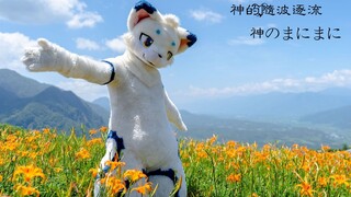 【Fursuit Dance】 【Small Cup Series】 Gods follow the crowd ぎあ