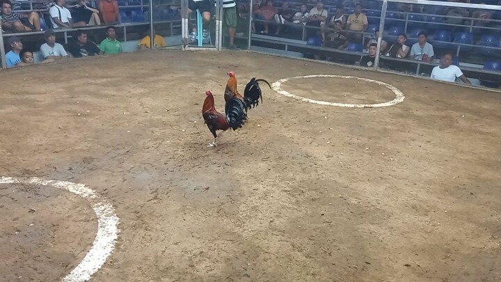 2 hits ulutan 2nd fight Loss