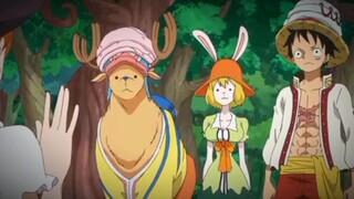 chopper&carrot : kita lu anggep ape Nami🗿😂