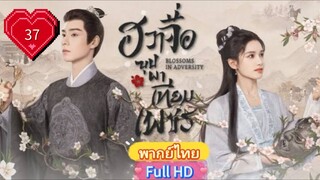 ฮวาจื่อ บุปผาเทียมเพชร Ep37  Blossoms in Adversity HD1080P พากย์ไทย [2024]