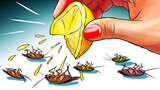 12 Natural Ways to Get Rid of Cockroaches Permanently