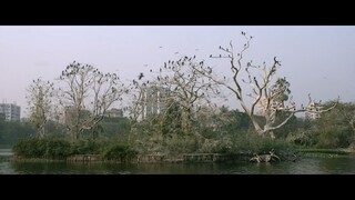 【EngSub】 Borunbabur Bondhu (2021) Bengali