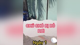 Chủ đi cách ly bỏ rơi em cún ở ngoài cửa. thấy thương quá. yêuđộngvật chó_cưng thien.jos