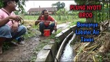 Mancing di Selokan Kecil Banyak Ikannya || PLUNG NYOTT BROOO