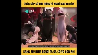 REVIEW PHIM CUỘC GẶP GỠ GIỮA NGƯỜI VÀ RỒNG SAU 10 NĂM - TÓM TẮT PHIM HAY - REVIEW PHIM HAY