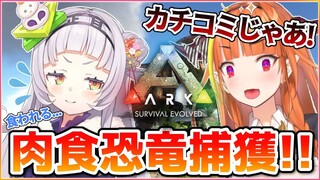 【ARK】肉食恐竜捕獲目指して協力💓初コラボ！！【ホロライブ/紫咲シオン/桐生ココ】