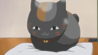 Natsume's big black cat chasing adults