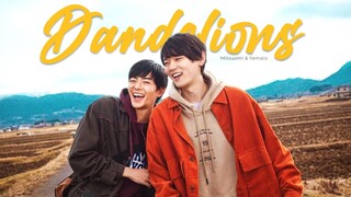 Mitsuomi & Yamato ► Dandelions [FMV] | Japanese BL