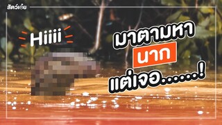 ล่านาก แต่เจอ...? | พาหมอไปหานาก EP.1