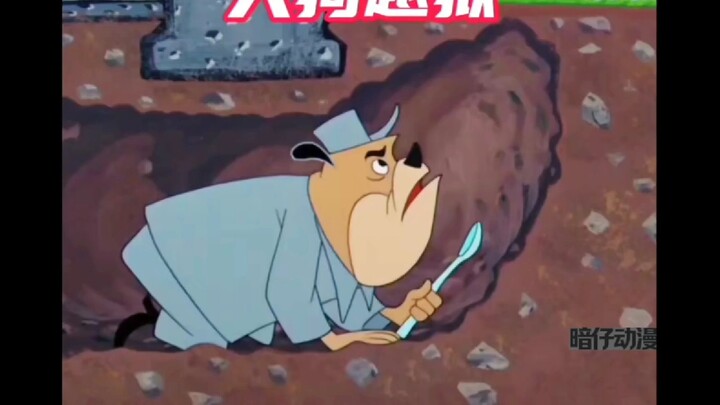 它永远逃不出去，你也不例外：）