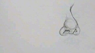 How to draw a nose