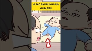 Vì sao bạn rùng mình khi đi tiểu? #shorts  #trithucplus #trithuc