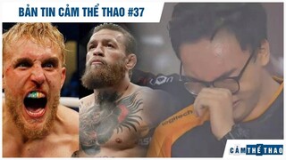 Bản tin Thể Thao #37| Jake chi tiền đấu McGregor, ProE rơi lệ vì ADC giải nghệ, phủ nhận FL giải thể