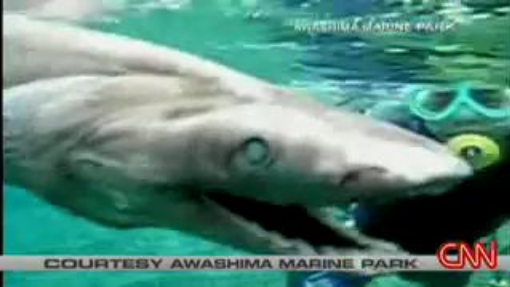 Top 5 weirdest fish - Bilibili Top 5 weirdest fish - Bilibili