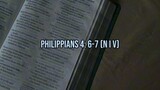 BIBLE VERSES