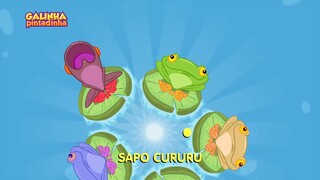 Coloquei Sapo Cururu - DVD Galinha Pintadinha 2 de trás pra frente