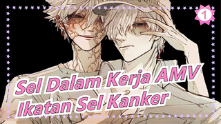 [Sel Dalam Kerja AMV] Ikatan Sel Kanker_1