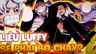 LIỆU LUFFY SẼ PHẢI BỎ CHẠY?! | LUFFY CÓ THỂ ĐỐI ĐẦU VỚI KIZARU?!