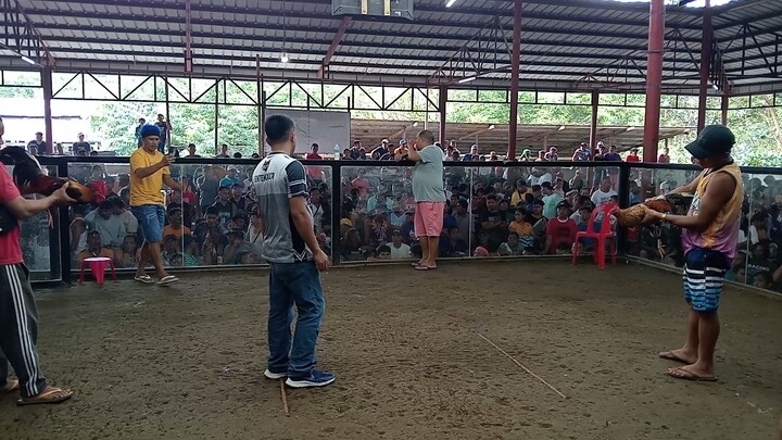balaw
