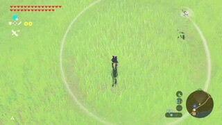 Zelda membutuhkan waktu 600 jam untuk mengetahui cara kerja dart