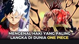 Top 5 Haki Paling Langka dan Mematikan yang Dimiliki Karakter Anime One Piece