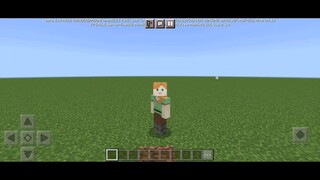 GA TAU BIKIN APA, TAPI KEREN BANGET SIH😜 Tutorial Minecraft Indonesia - Mummyoo