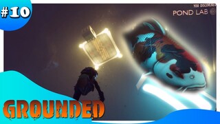 GROUNDED #10 | LAB BAWAH KOLAM DAN KOI SANG PENJAGA 7 KOLAM LEGENDARIS !