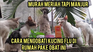 Cara Mengobati Kucing Flu Cats Lovers Tv  Di Rumah Ini Racikan Obatnya Insyaallah Manjur..!