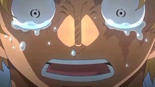 luffy and sabo reaction to ace death. asl brothers moments.