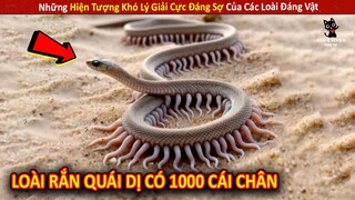 Những Hiện Tượng Khó Lý Giải Cực Đáng Sợ Của Các Loài Đáng Vật P43 || Review Giải Trí Đời Sống