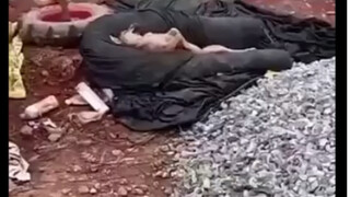 Bạn được yêu cầu trông coi ao cá chứ không phải đi nghỉ mát.