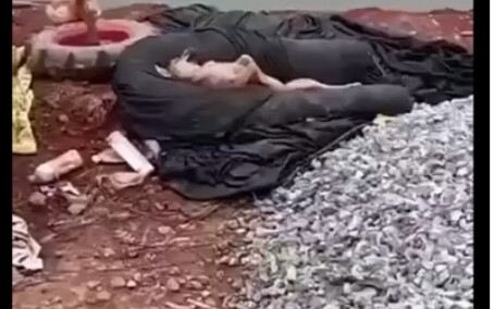 叫你来守鱼塘，不是叫你来度假的