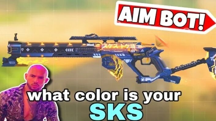 This SKS Skin gives Aimbot