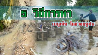 5 วิถีการหา | เมนูเด็ด ในช่วงฤดูฝน |