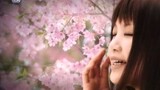 Music Video Sakura Ikimonogakari