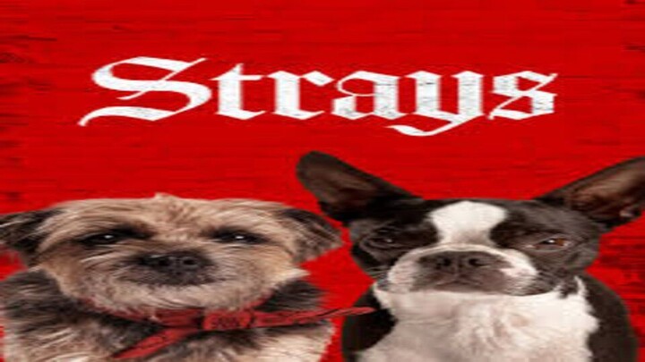 Strays 2023 watch full movie : link in Description