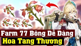 Vị Trí 77 Bông Hoa Tang Thương - Cực Dễ Với Người Lười - Genshin Impact