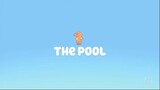 Bluey Season 1 Episode 22 The Pool