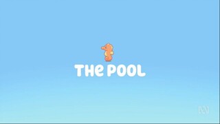 Bluey Season 1 Episode 22 The Pool