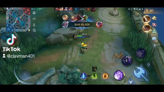 Tara rg