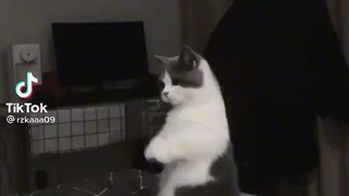 はい
