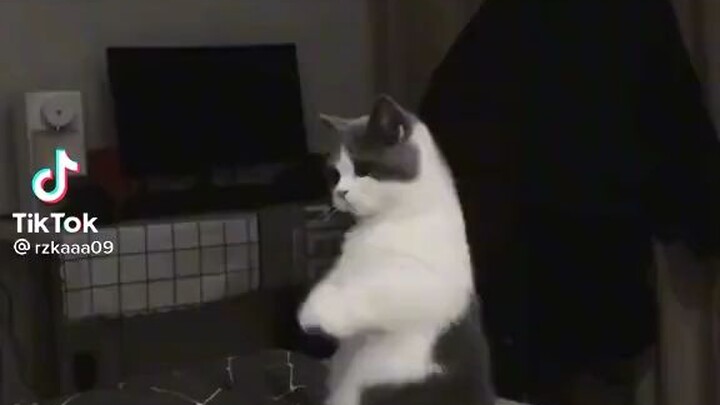 はい