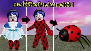 เมื่อเราได้ใช้ชีวิตเป็น..แมลงเต่าทองและเติบโตกลายเป็นมด! อะไรกันครับเนี่ย! | Roblox Little World