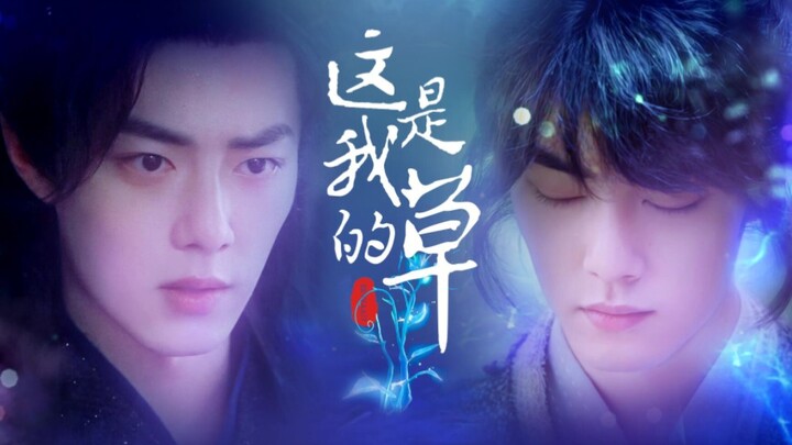 【肖战水仙｜糖丸】肖战唐三生贺频-小大三《这是我的草》一发完