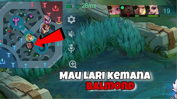 Kejar Balmond Sampai Ke Ubun-ubun 🔥