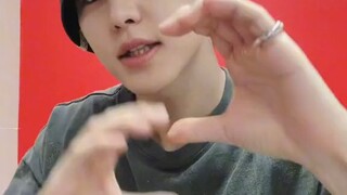 Seventeen Hoshi  SOS CHALLENGE ON TIKTOK