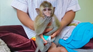 Obedient Girl!! Little adorable Toto keeps silent let Mom put new diaper for her easily