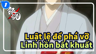 [Luật lệ để phá vỡ /AMV/X/Hoành tráng ] Linh hồn bất khuất_1